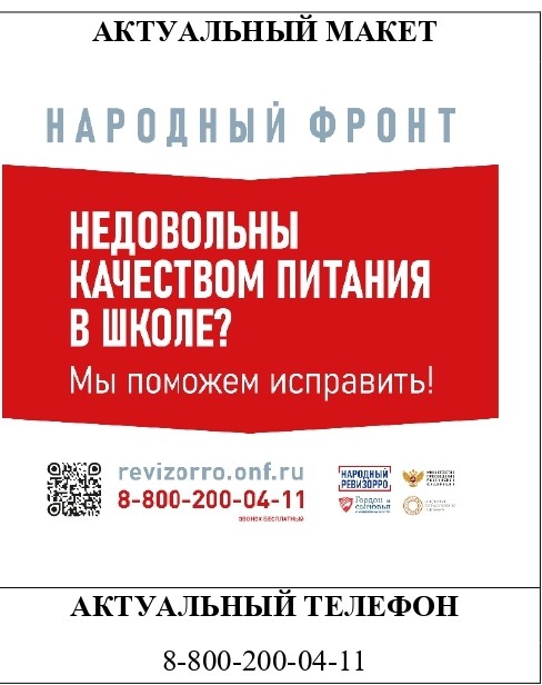 НАРОДНЫЙ РЕВИЗОРРО